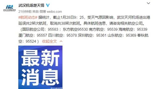 受天氣影響,武漢天河機(jī)場部分航班取消