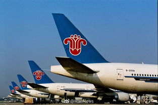 襄陽青年請注意 南方航空招飛啟動，翱翔藍天夢想觸手可及